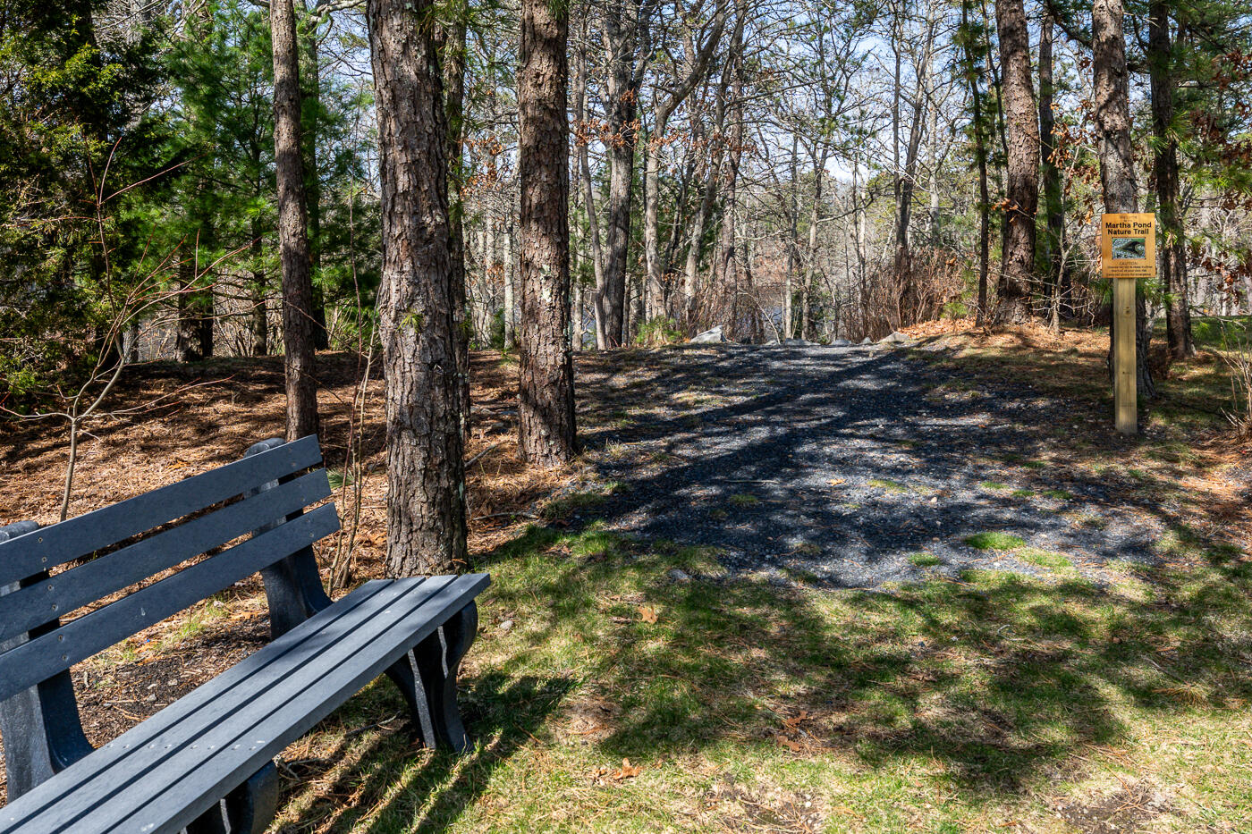 19 Longwood Road Mashpee, MA 02649 - Photo 46 of 47 pond walking trail