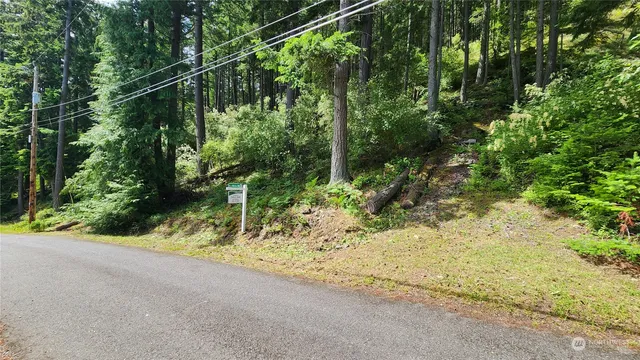 a backyard of a house with lots of green space