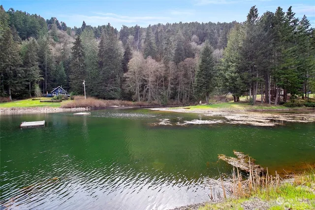 a view of a lake with a mountain