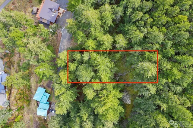an aerial view of residential house with outdoor space and trees all around