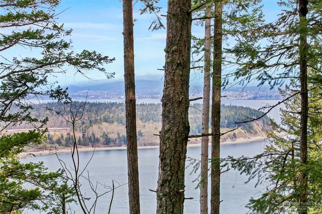 a view of a backyard of the house