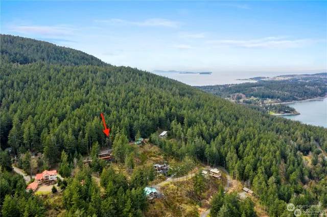 a view of a lush green field