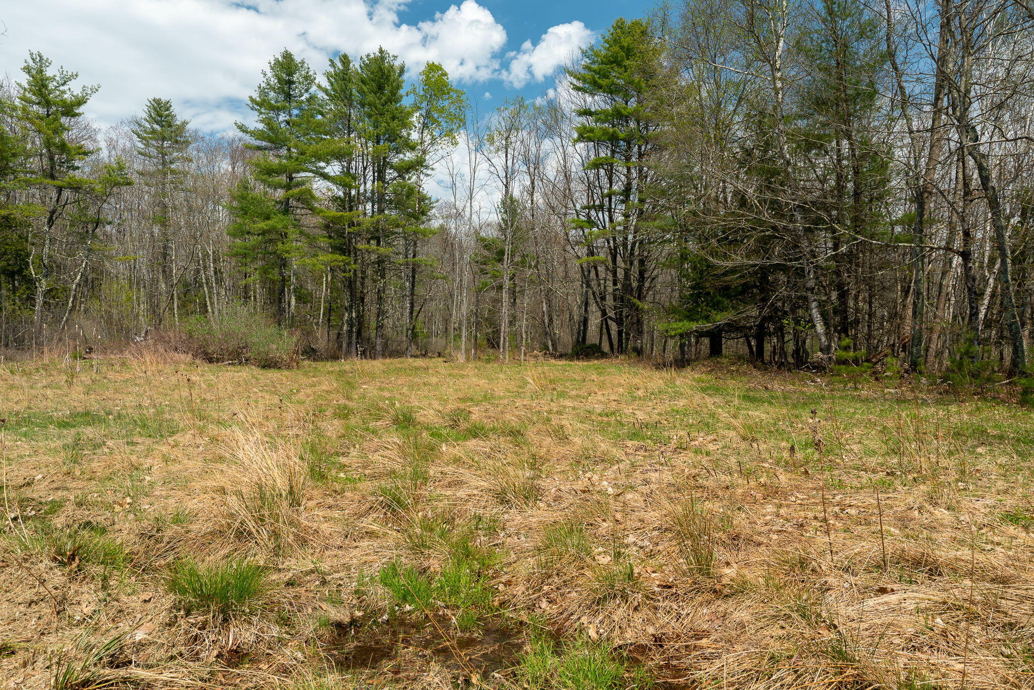 112 Durham Road Freeport, ME 04032 - Photo 36 of 39 17-web-or-mls-112 Durham Rd-19