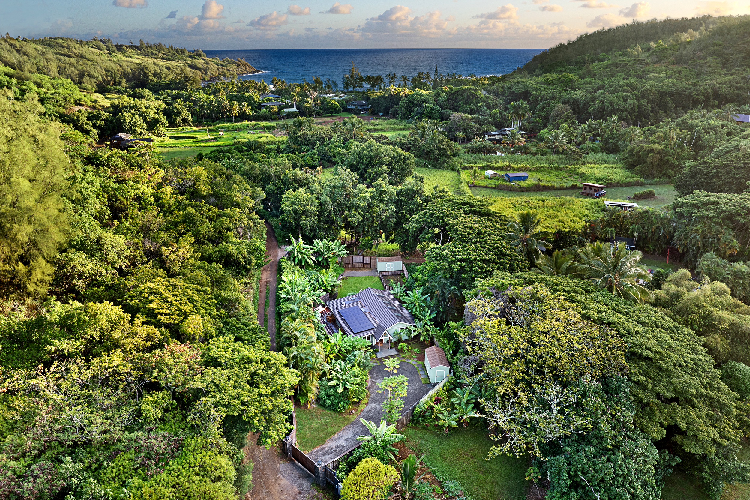 3720 A Moloaa Road Kilauea, HI 96754 - Photo 17 of 20 a view of a garden