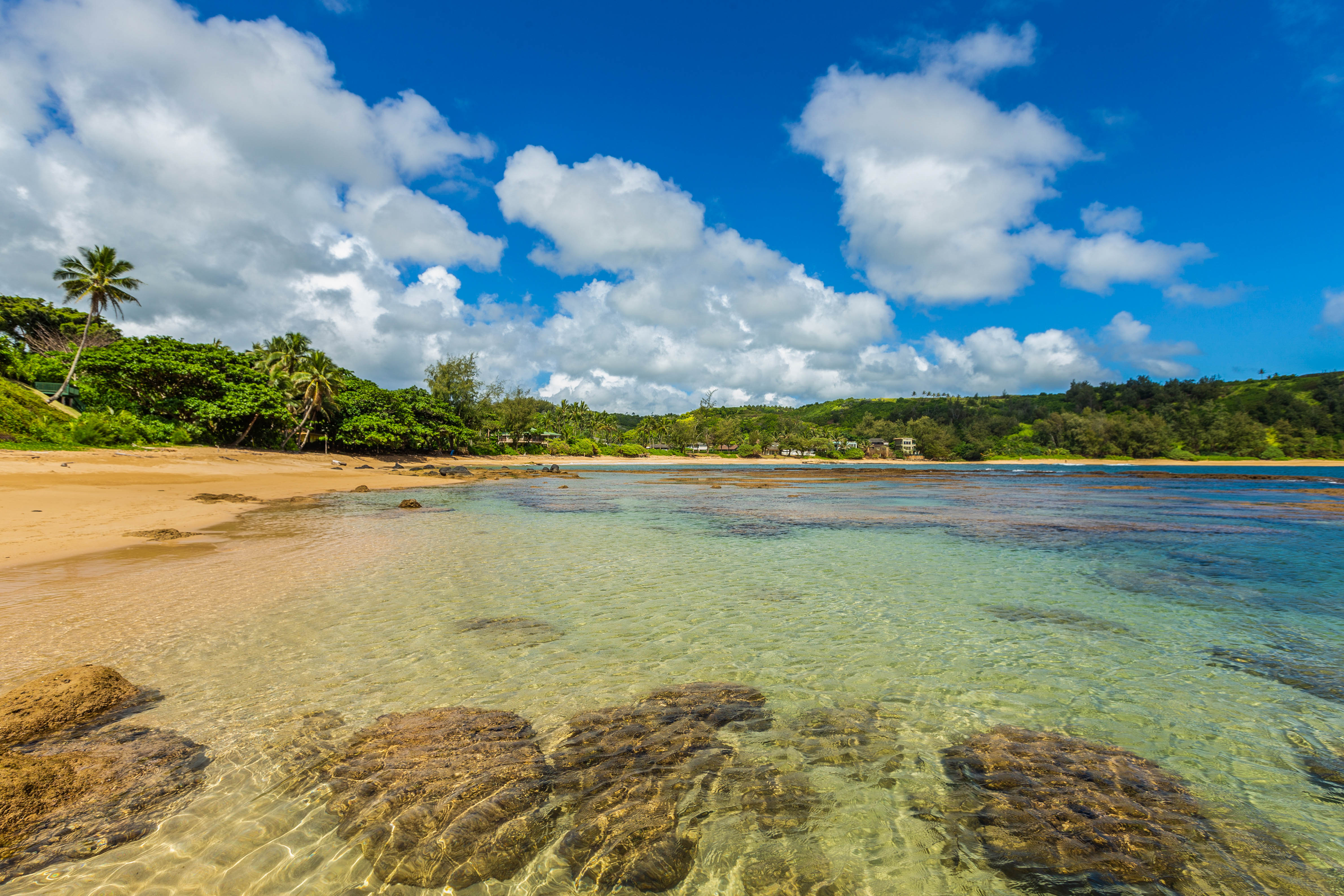 3720 A Moloaa Road Kilauea, HI 96754 - Photo 19 of 20 a view of an ocean and beach