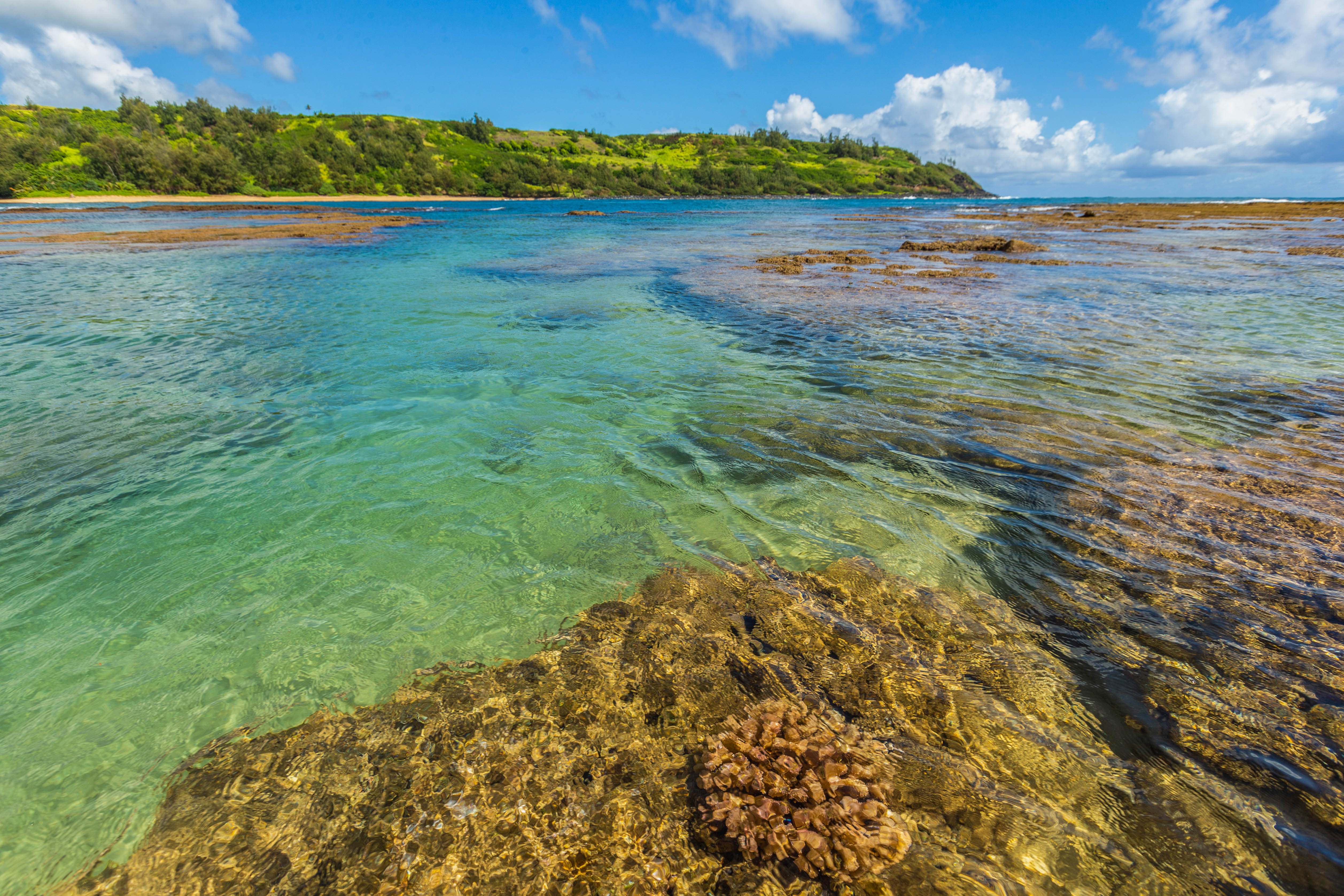3720 A Moloaa Road Kilauea, HI 96754 - Photo 20 of 20 a view of a lake with houses in the background