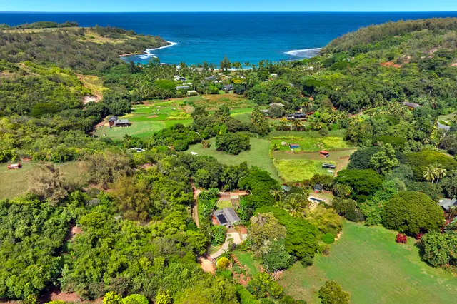 a view of a green field