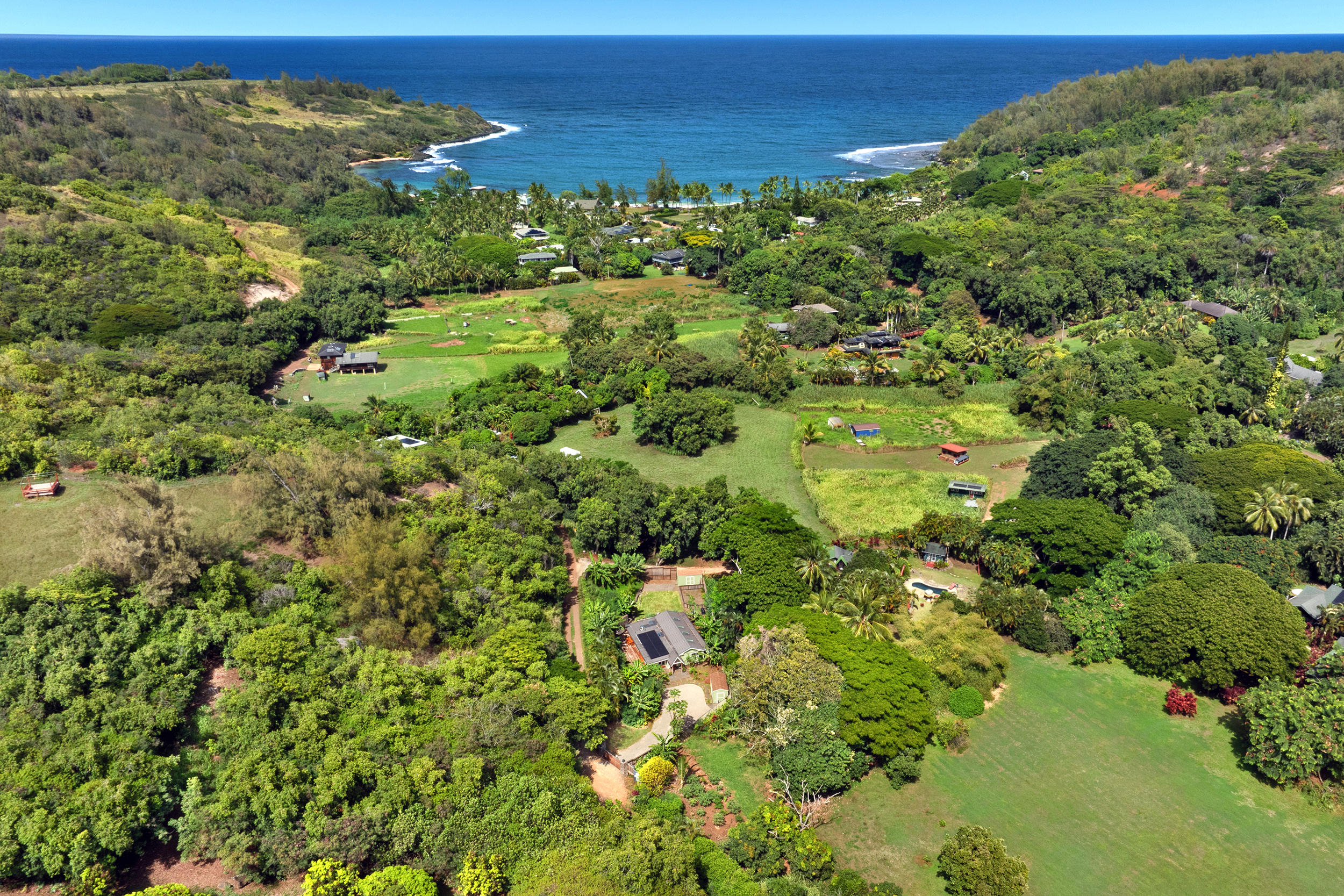 3720 A Moloaa Road Kilauea, HI 96754 - Photo 2 of 20 a view of a green field