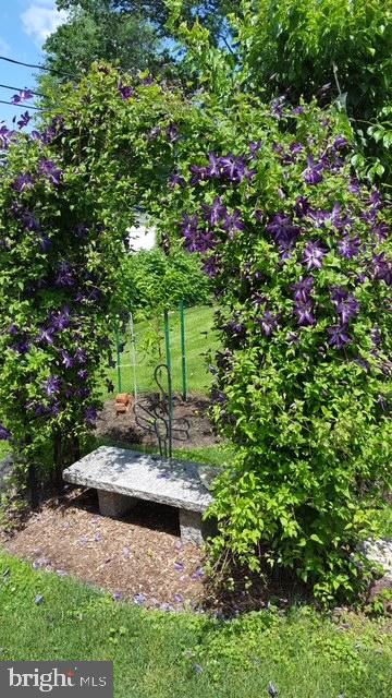 117 Larkspur Road Newark, DE 19711 - Photo 38 of 42