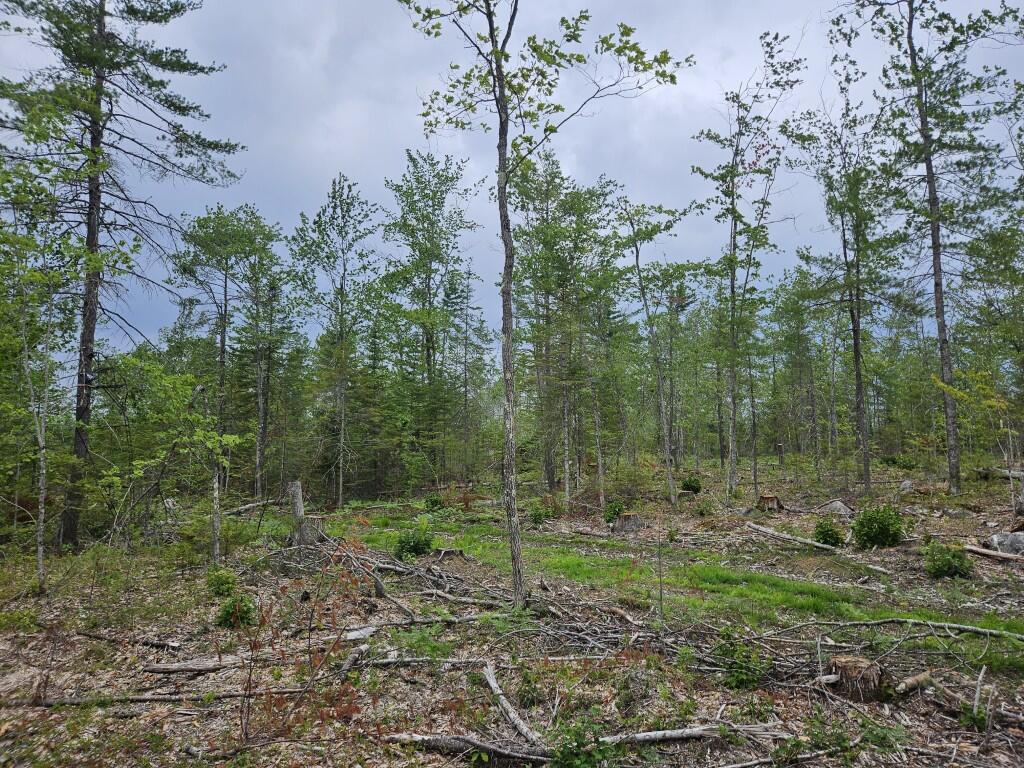 19 A Quaker Ridge Road Leeds, ME 04263 - Photo 28 of 37 20260716_132744