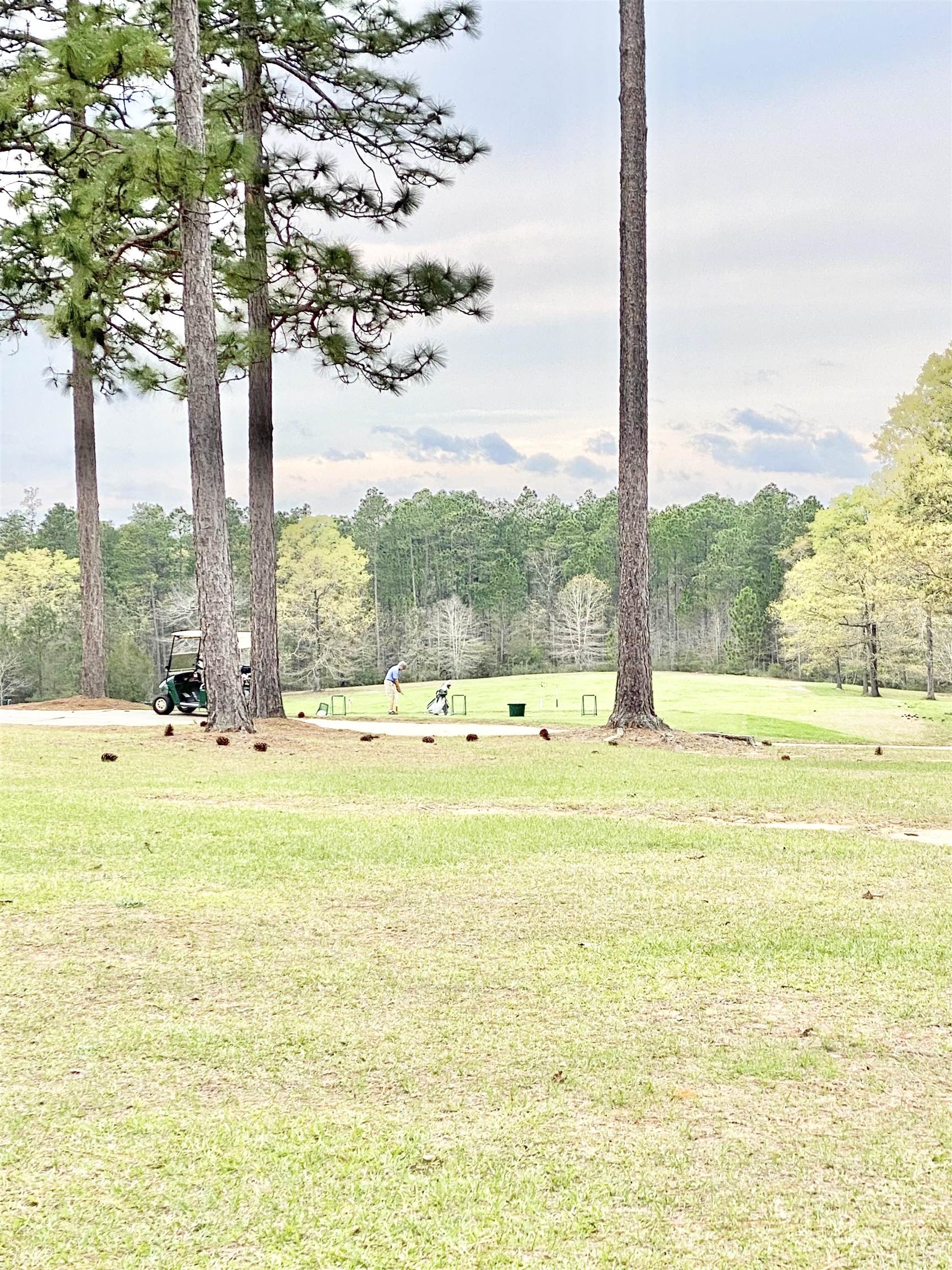 37 Juniper Creek Road Brewton, AL 36426 - Photo 3 of 3 Backyard view.