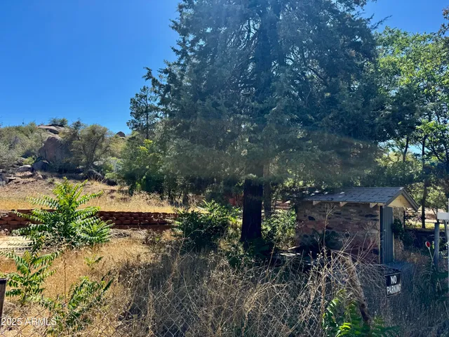 a view of a garden with plants and large trees