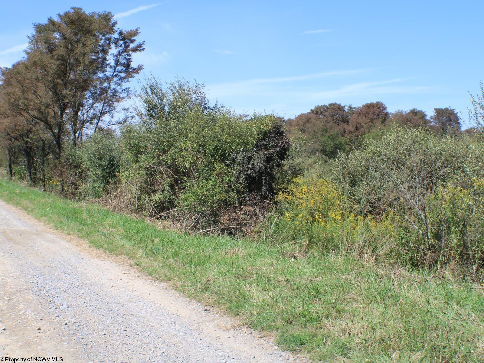 46.959-acres Beech Run Road Albright, WV 26519 - Photo 28 of 29 Gallery Image 28