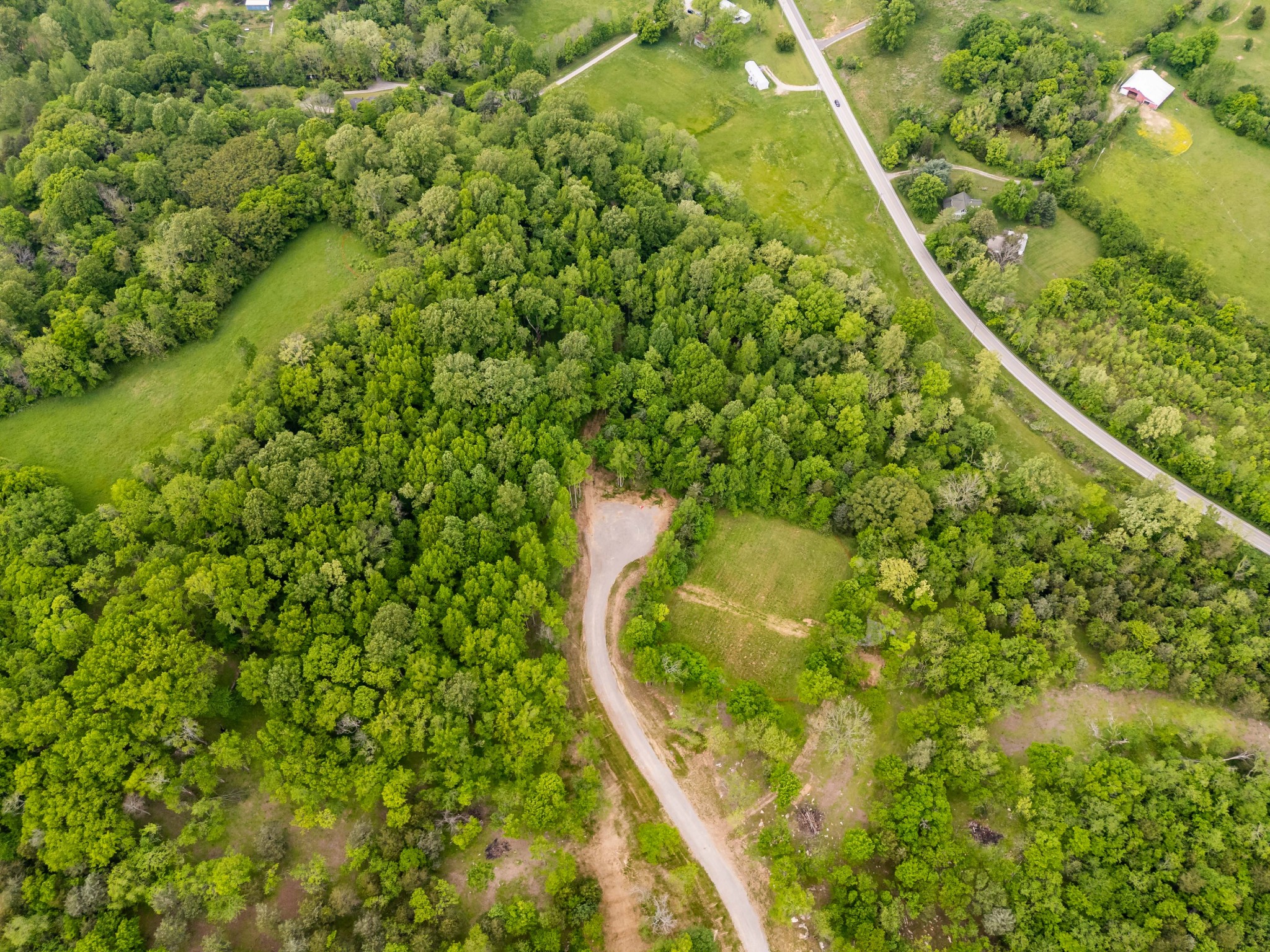 7001 Holts Reserve Road College Grove, TN 37046 - Photo 1 of 19 a map view of a forest
