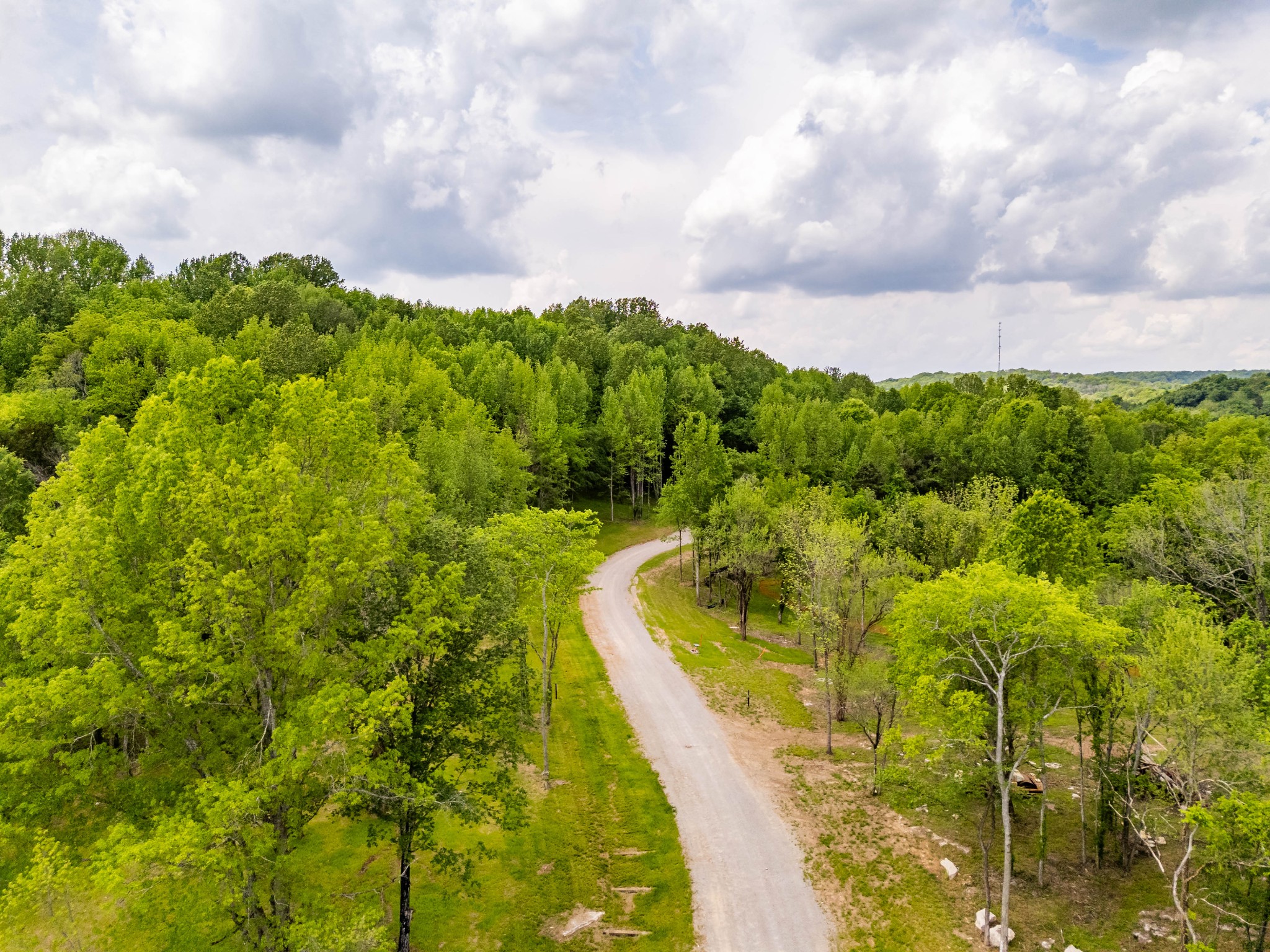 7001 Holts Reserve Road College Grove, TN 37046 - Photo 2 of 19 a view of a yard with plants