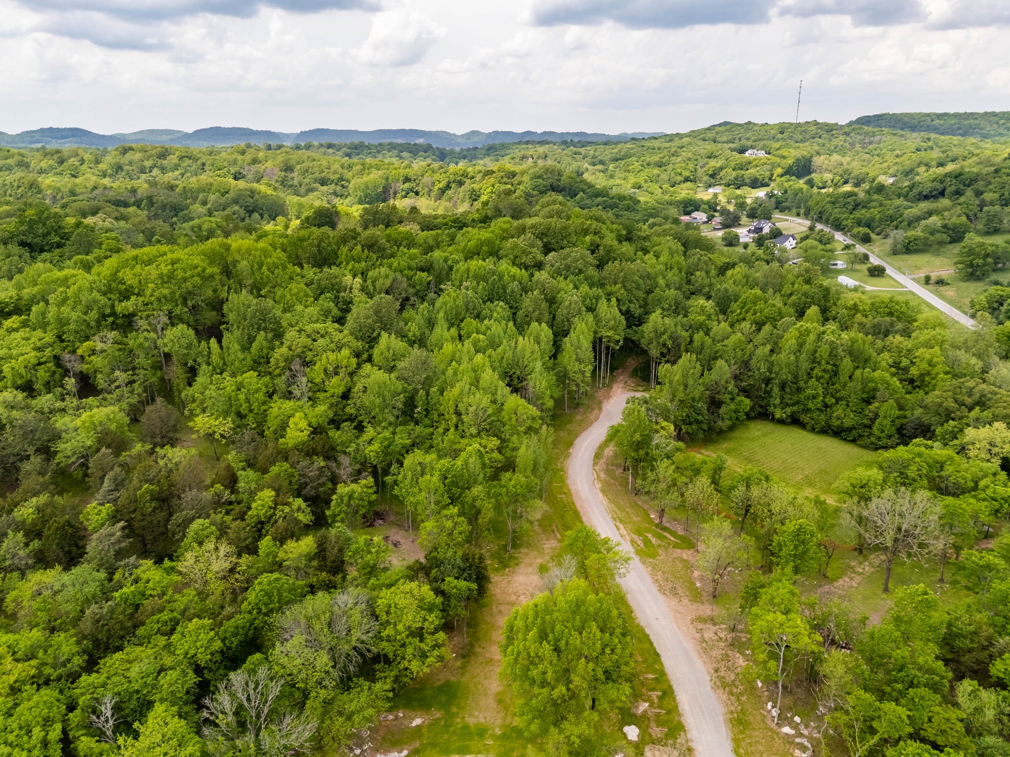 7001 Holts Reserve Road College Grove, TN 37046 - Photo 3 of 19 a view of a big yard with lawn chairs and large trees