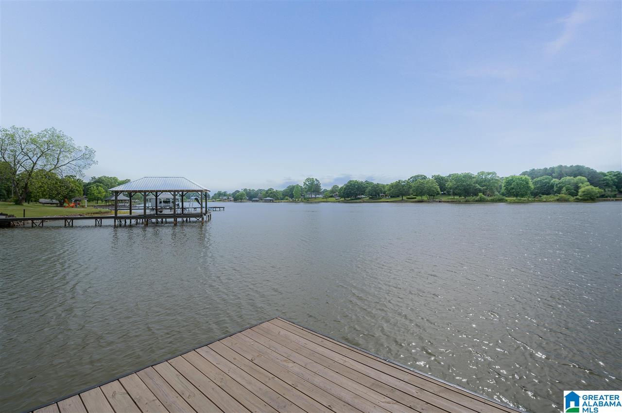 303 Allen Road Pell City, AL 35128 - Photo 45 of 50