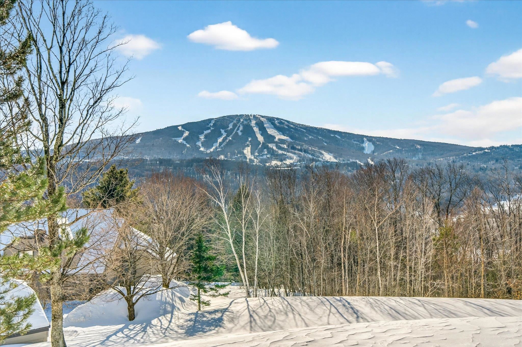 E1 Rock Ridge Road Winhall, VT 05340 - Photo 9 of 38