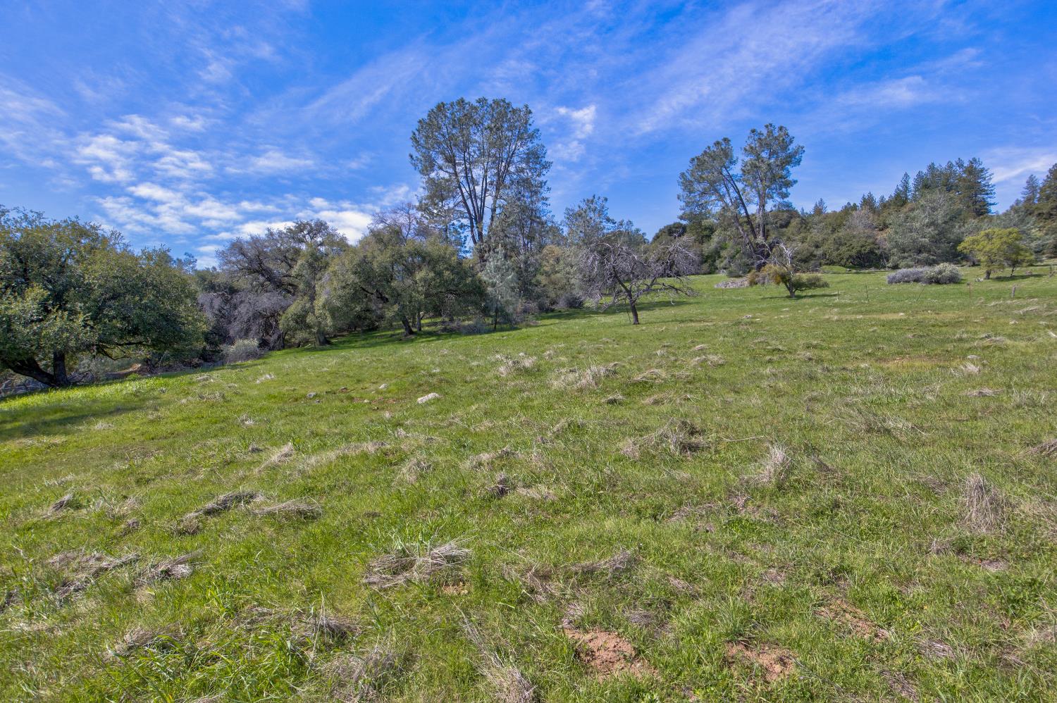 18800 Charleston Road Volcano, CA 95689 - Photo 18 of 47 a view of a field with an trees