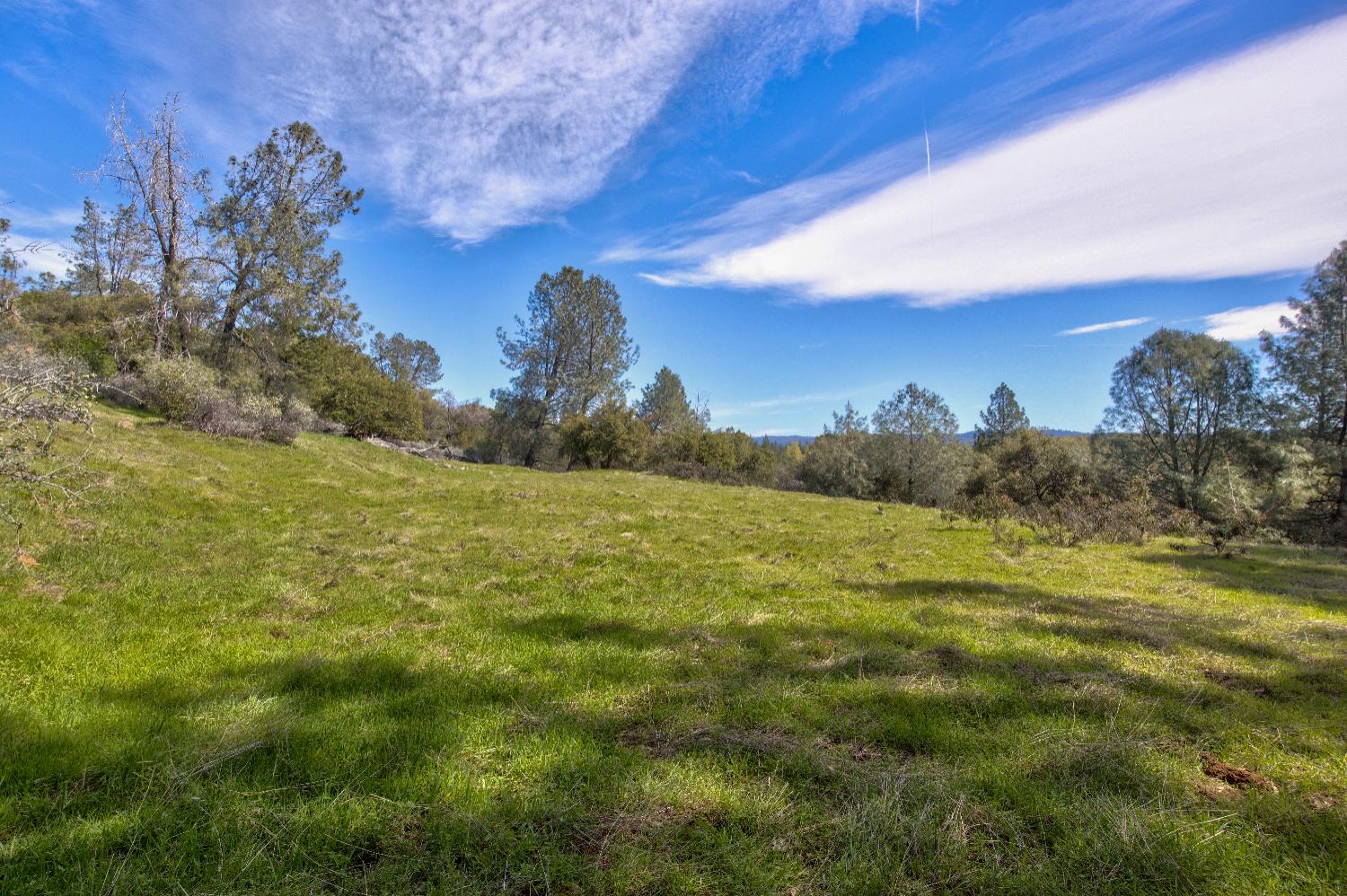 18800 Charleston Road Volcano, CA 95689 - Photo 2 of 47 a view of a yard with an ocean and mountain view