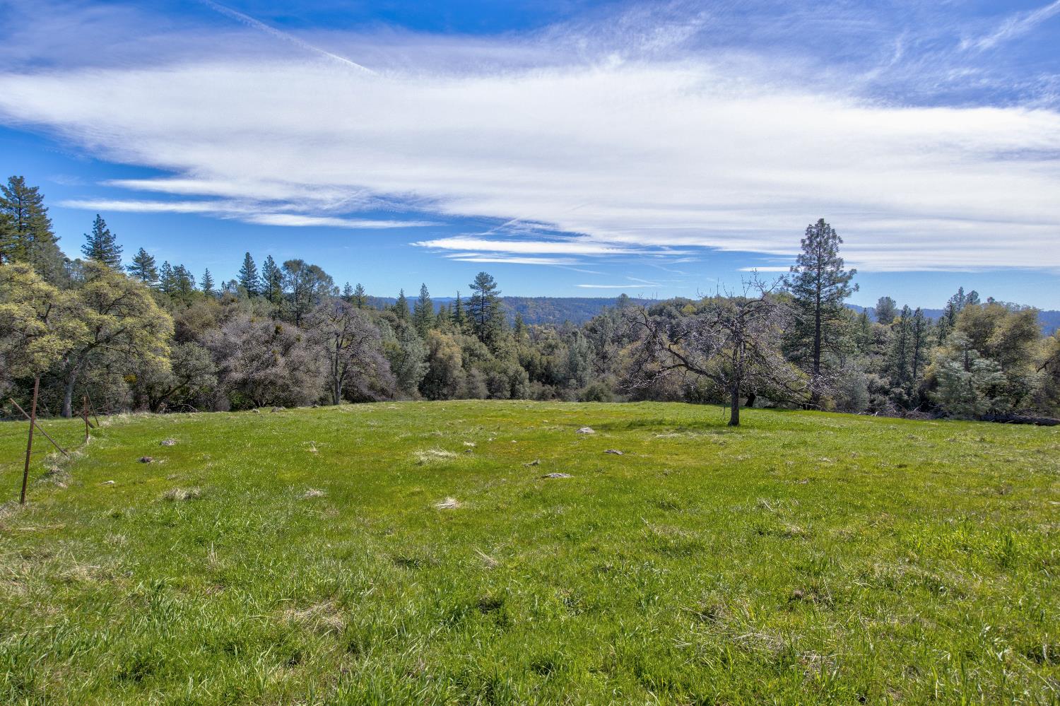 18800 Charleston Road Volcano, CA 95689 - Photo 21 of 47 a view of an outdoor space and yard