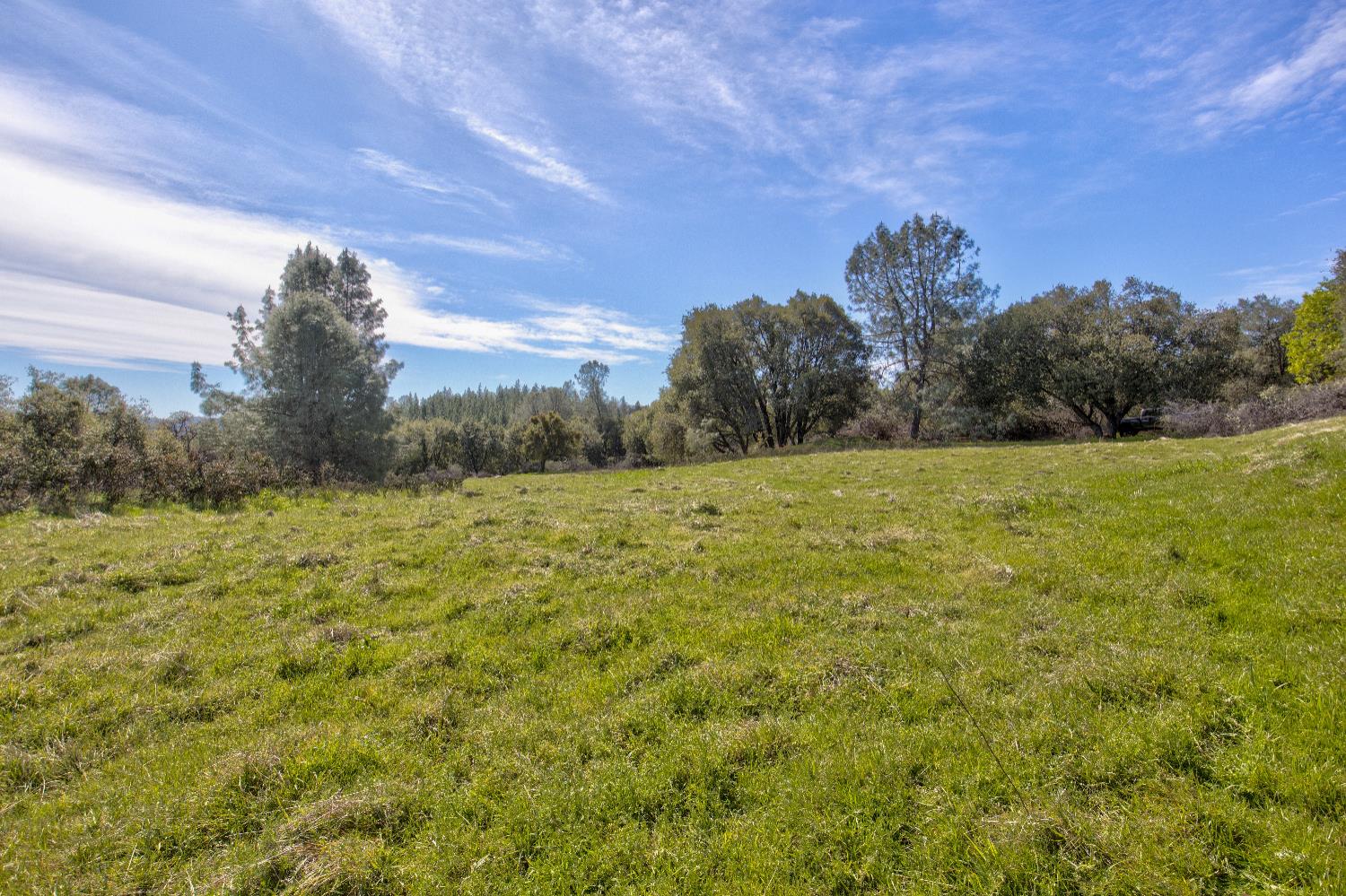 18800 Charleston Road Volcano, CA 95689 - Photo 3 of 47 a view of a field with an trees