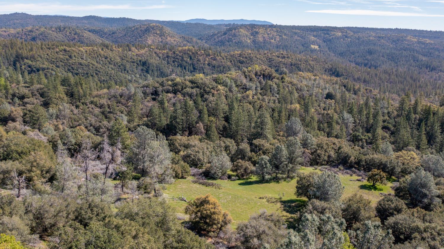 18800 Charleston Road Volcano, CA 95689 - Photo 32 of 47 a view of a forest with mountains in the background
