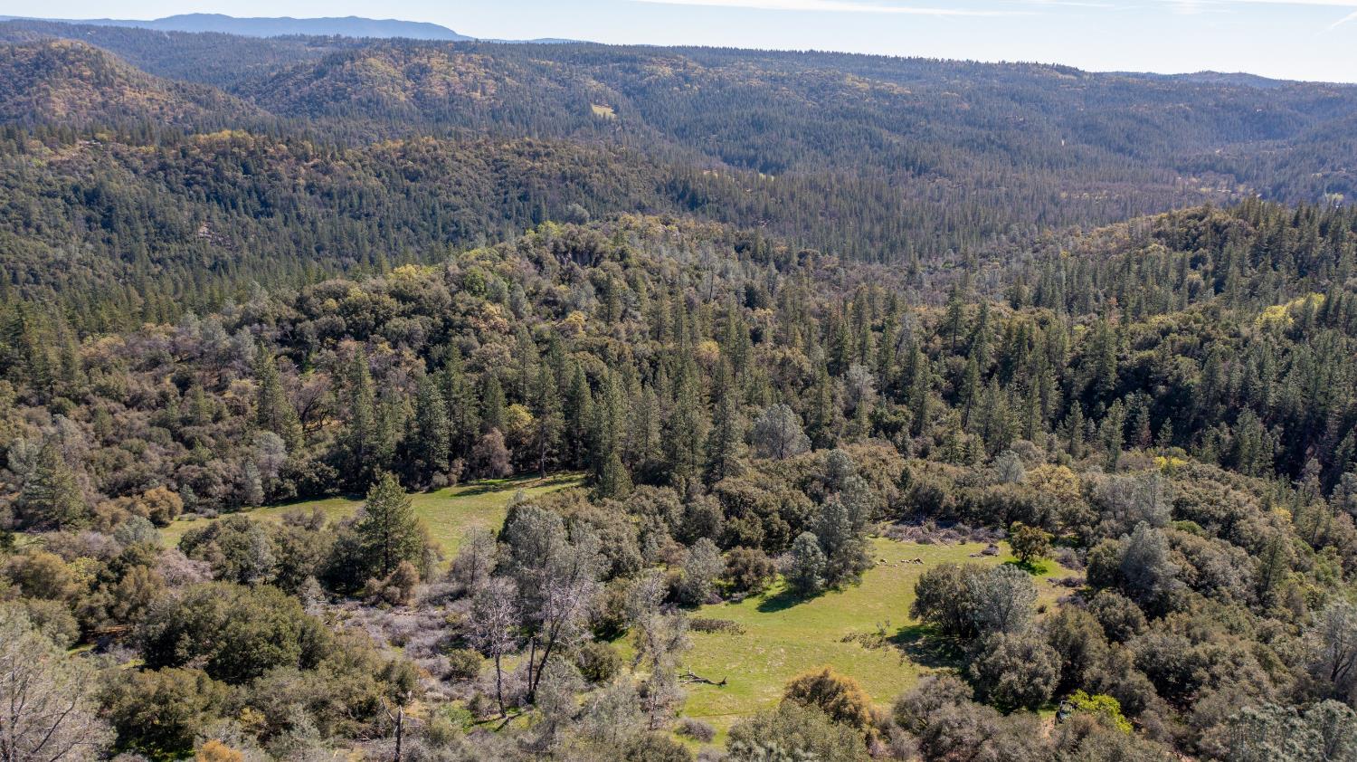 18800 Charleston Road Volcano, CA 95689 - Photo 33 of 47 a view of a forest with mountains in the background
