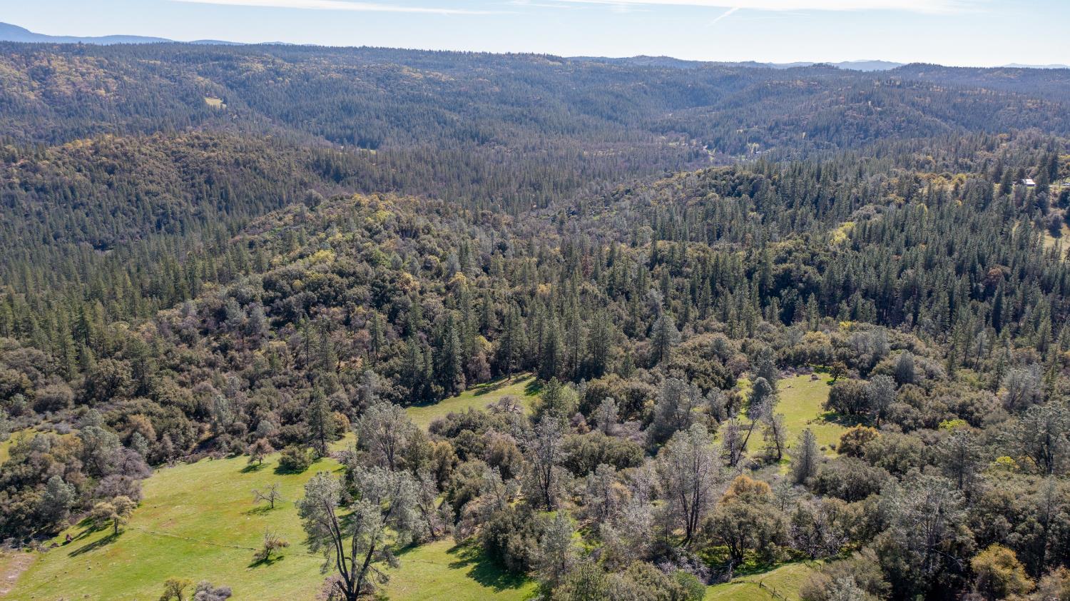 18800 Charleston Road Volcano, CA 95689 - Photo 34 of 47 a view of a forest with a mountain in the background