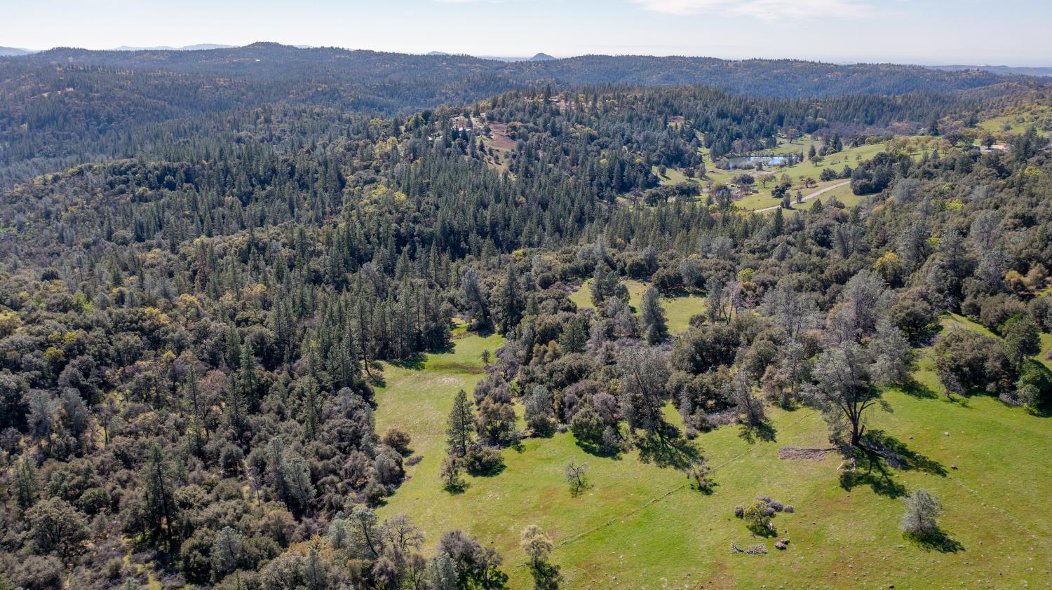 18800 Charleston Road Volcano, CA 95689 - Photo 35 of 47 a view of a forest with a lake