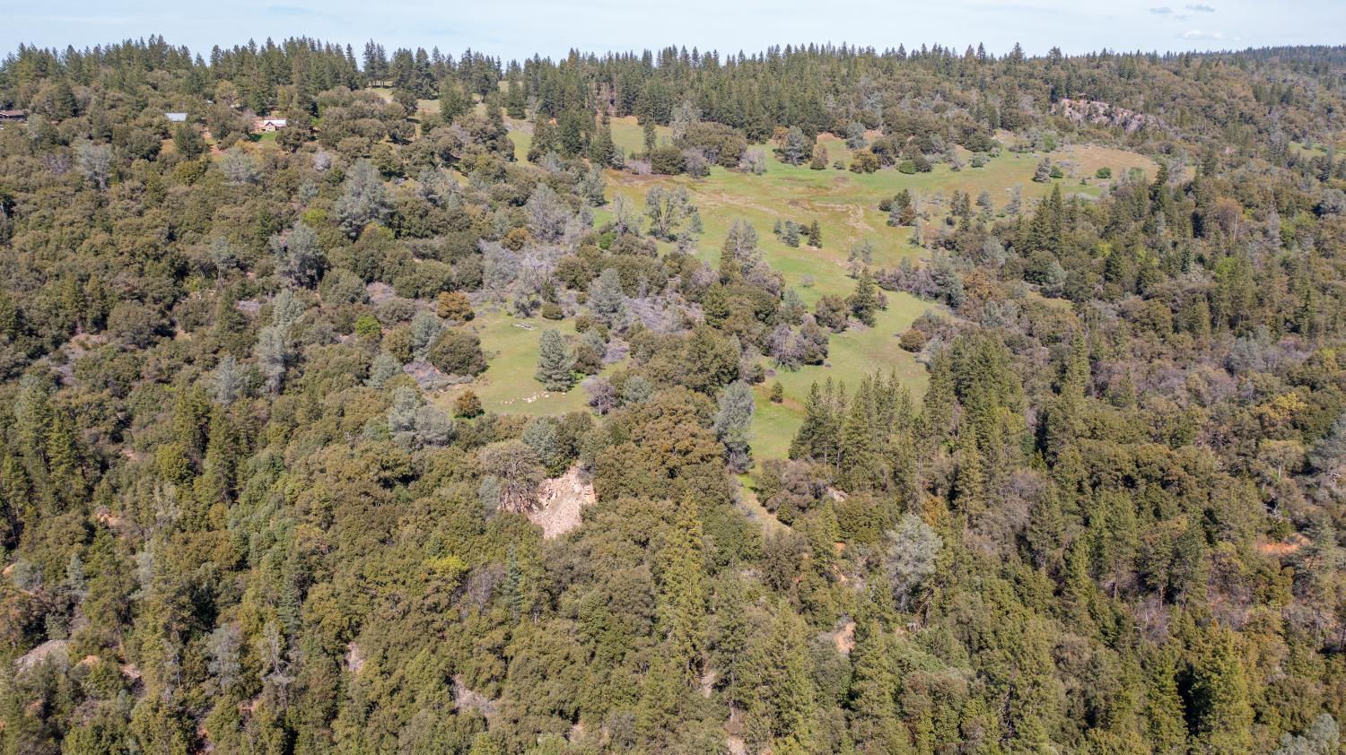 18800 Charleston Road Volcano, CA 95689 - Photo 36 of 47 a view of a field with trees in the background