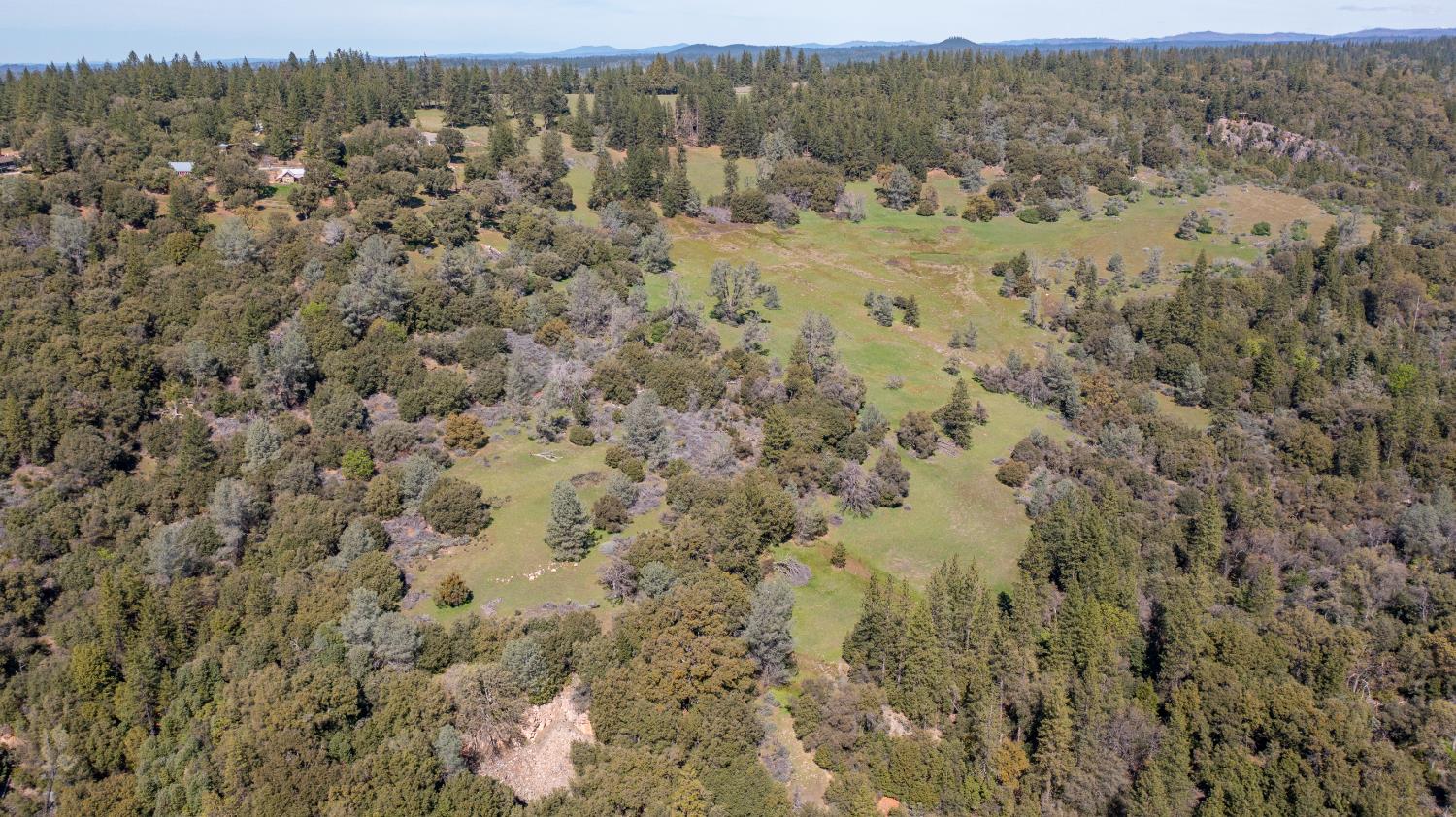 18800 Charleston Road Volcano, CA 95689 - Photo 37 of 47 an aerial view of forest