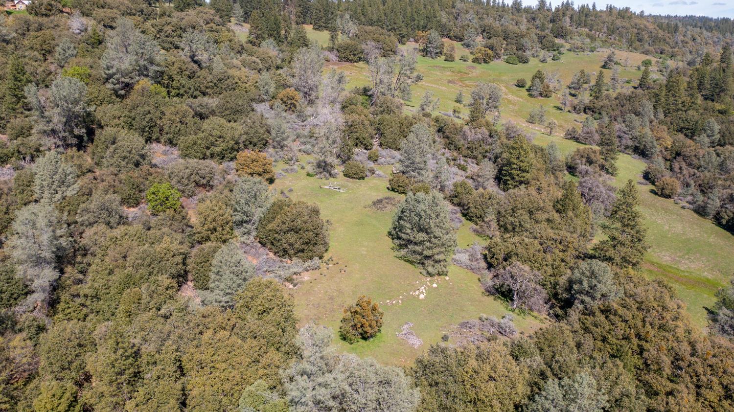 18800 Charleston Road Volcano, CA 95689 - Photo 38 of 47 a view of a yard of a building