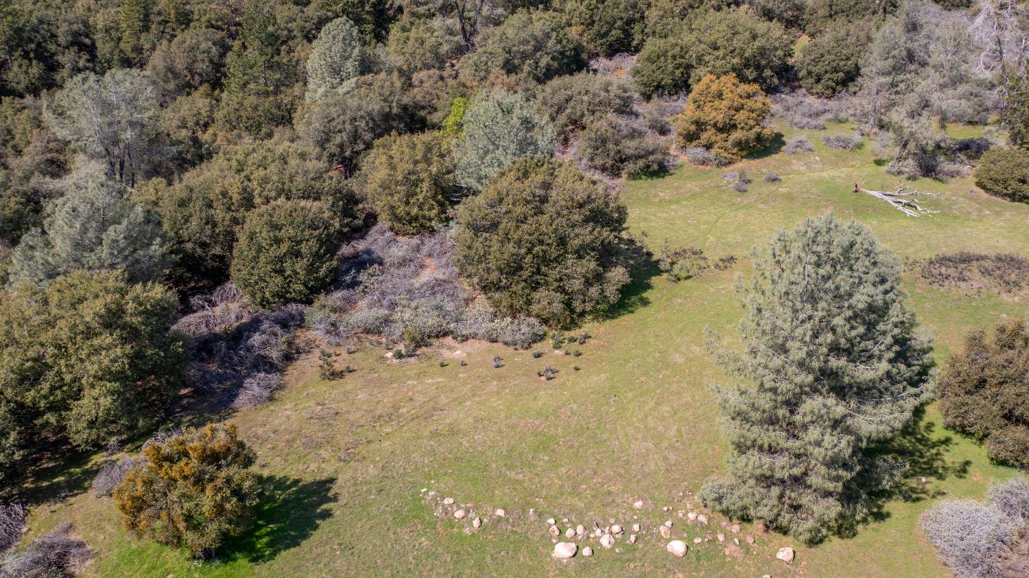 18800 Charleston Road Volcano, CA 95689 - Photo 39 of 47 a view of top of a yard