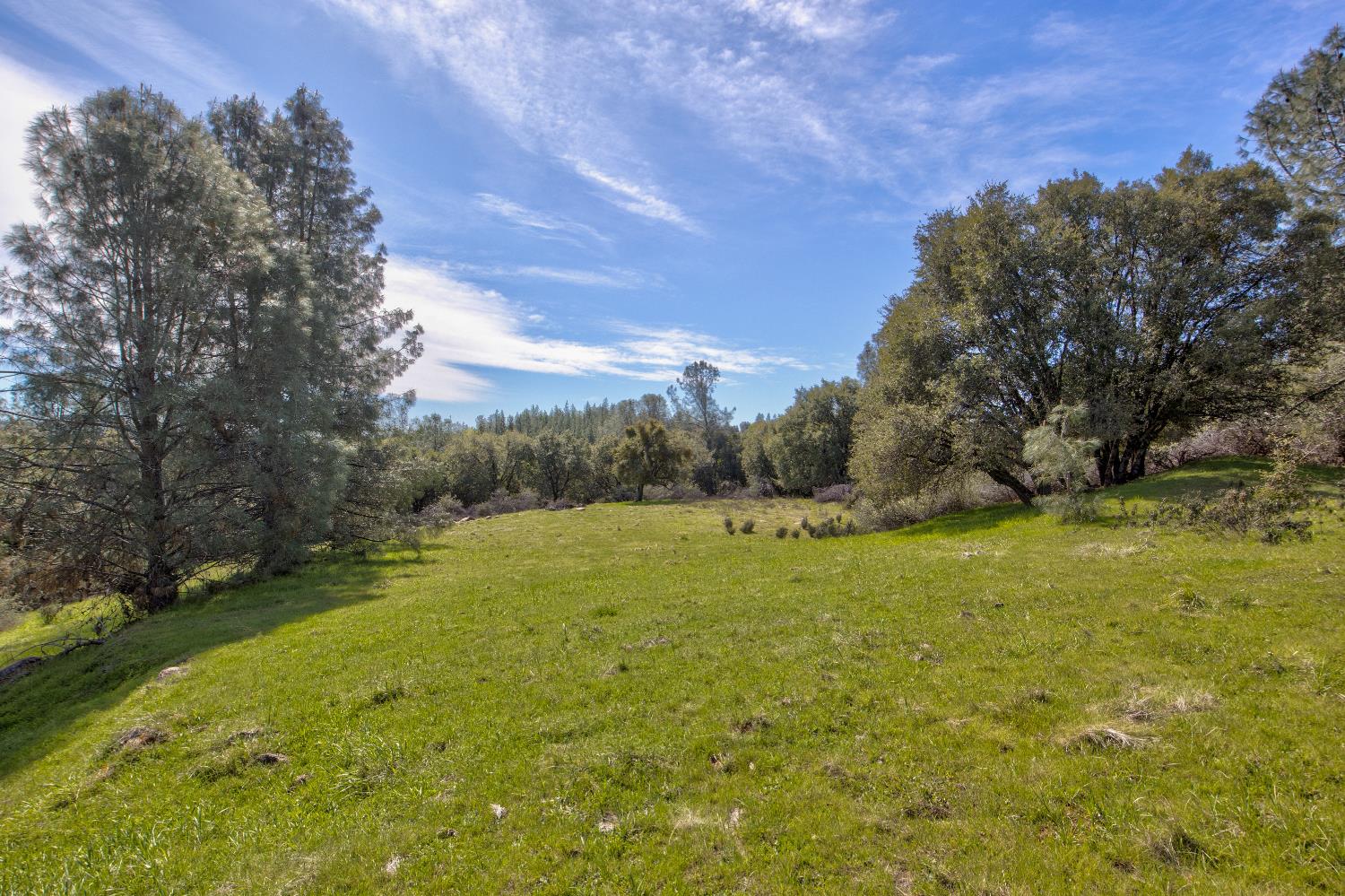 18800 Charleston Road Volcano, CA 95689 - Photo 4 of 47 a view of an outdoor space and yard