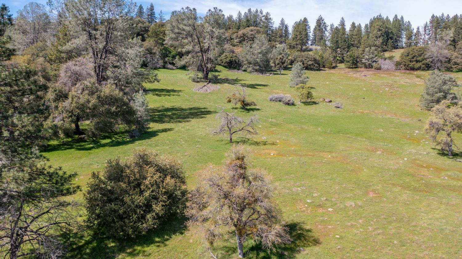 18800 Charleston Road Volcano, CA 95689 - Photo 44 of 47 a view of a lake with large trees