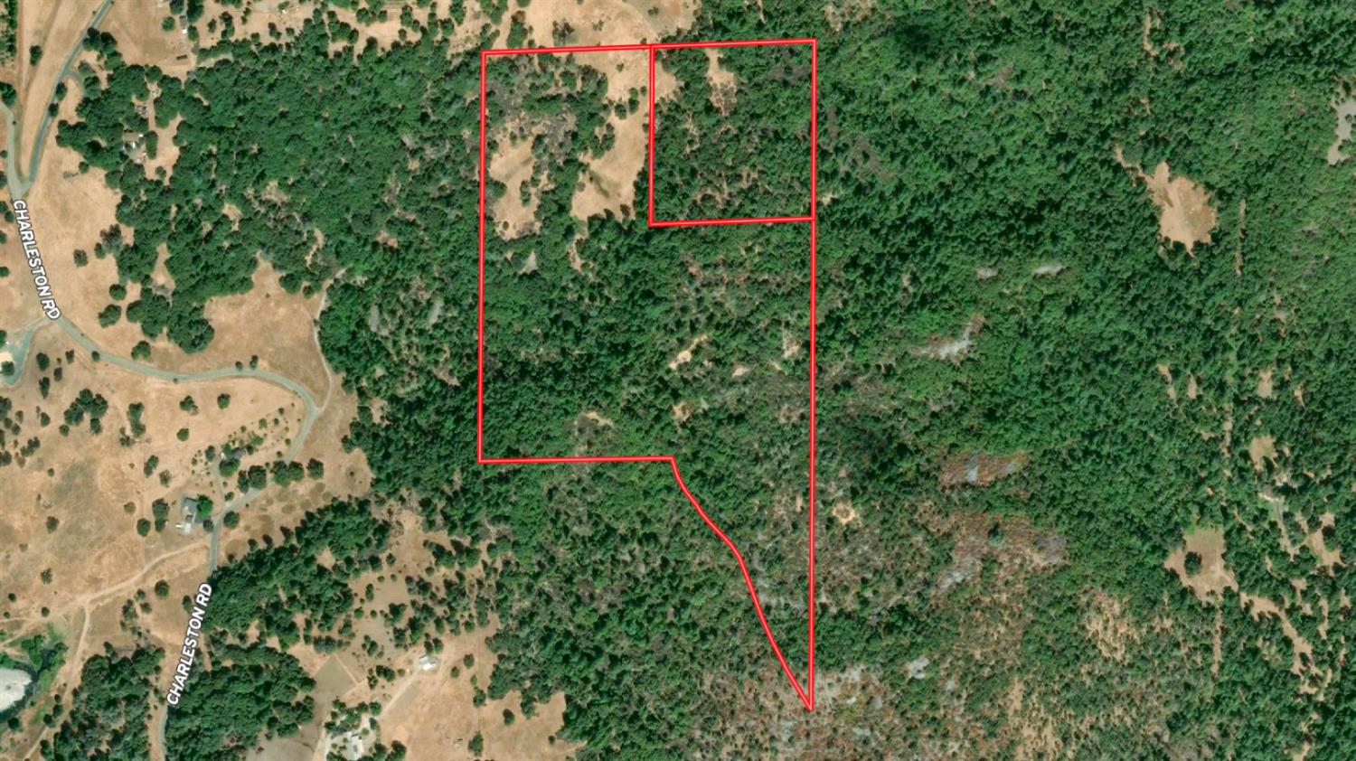 18800 Charleston Road Volcano, CA 95689 - Photo 45 of 47 a view of a garden with a tree