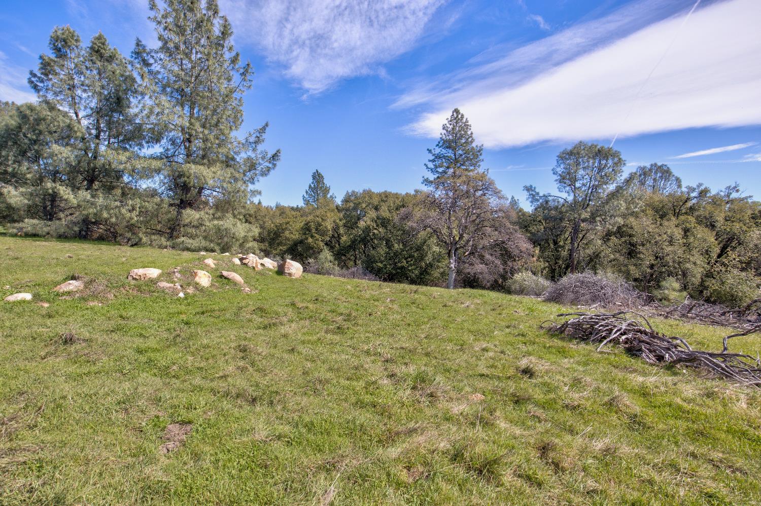 18800 Charleston Road Volcano, CA 95689 - Photo 8 of 47 a view of a yard
