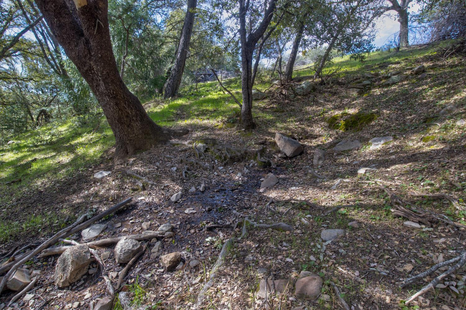 18800 Charleston Road Volcano, CA 95689 - Photo 9 of 47 a view of outdoor space with trees
