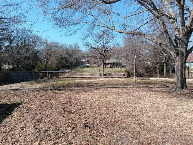 a view of road with large trees