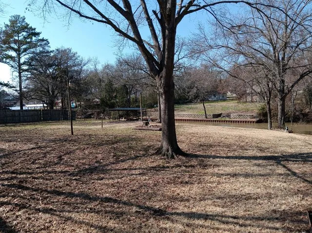 a view of a yard with a tree