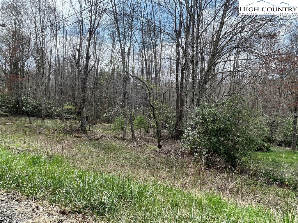 Hickory Nut Gap Road Banner Elk, NC 28604 - Photo 4 of 7 Gallery Image 4