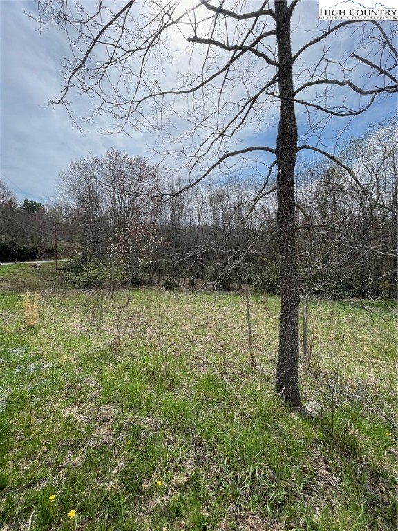 Hickory Nut Gap Road Banner Elk, NC 28604 - Photo 7 of 7 Gallery Image 7