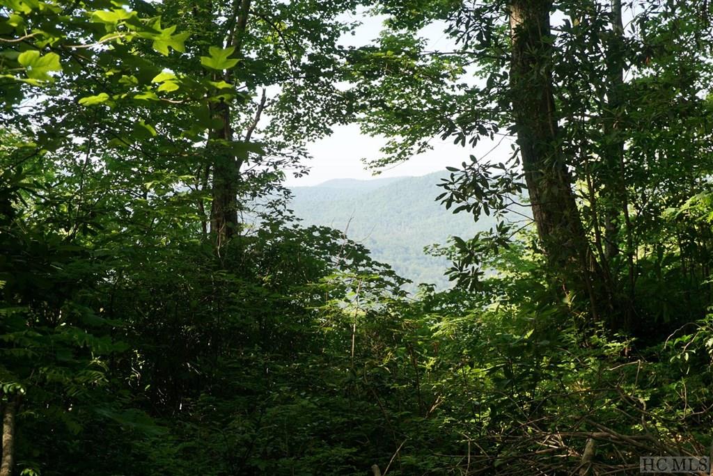 Lot # Tower Road Sapphire, NC 28774 - Photo 7 of 24 Gallery Image 7