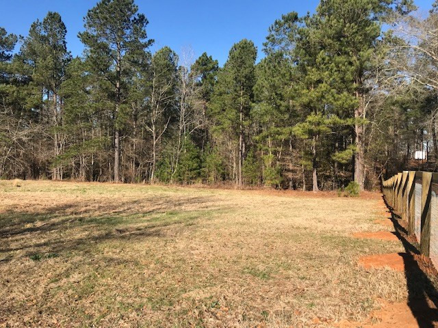 1 D Angela Road Wagener, SC 29164 - Photo 6 of 14
