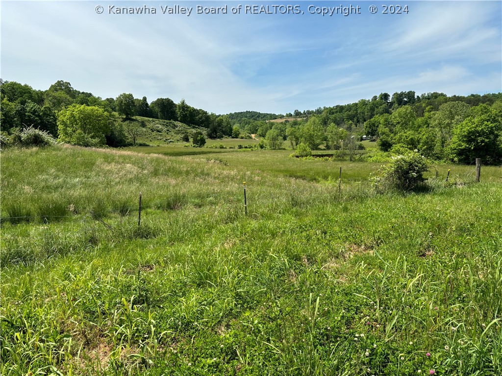 8400 Gunville Ridge Road Leon, WV 25123 - Photo 10 of 35 Gallery Image 10