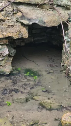 $240,500 | -m- Wolfe Drive, Mountain Grove, MO 65711