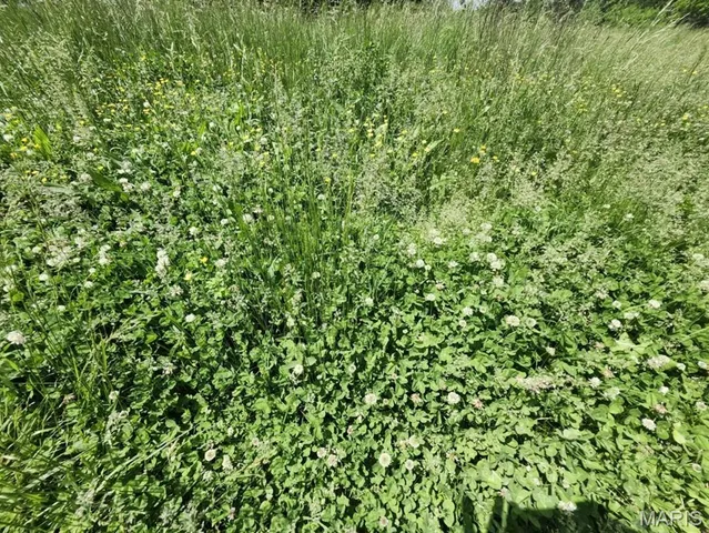 $240,500 | -m- Wolfe Drive, Mountain Grove, MO 65711