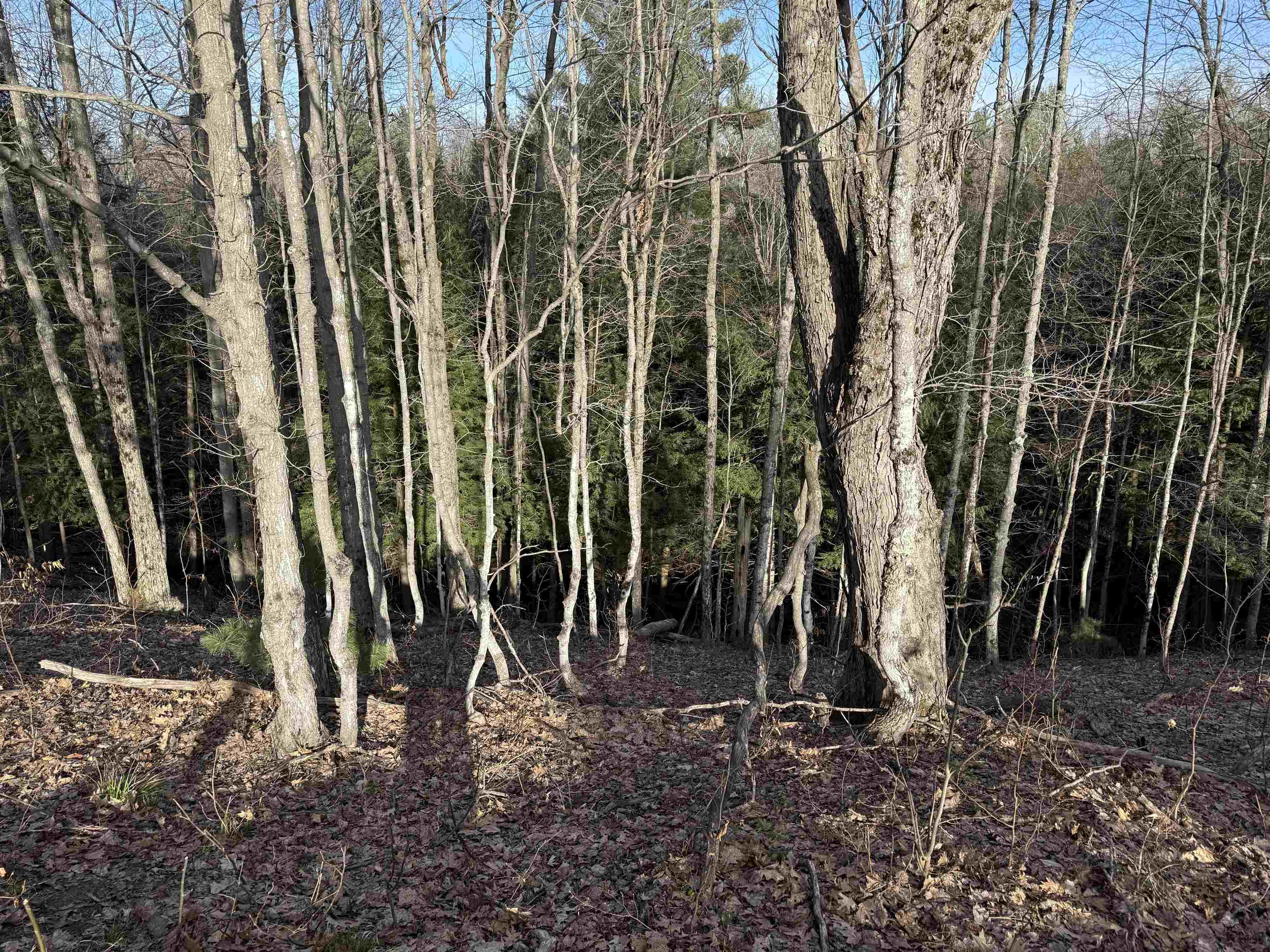 Parcel D North Carmean Road Interlochen, MI 49643 - Photo 7 of 12