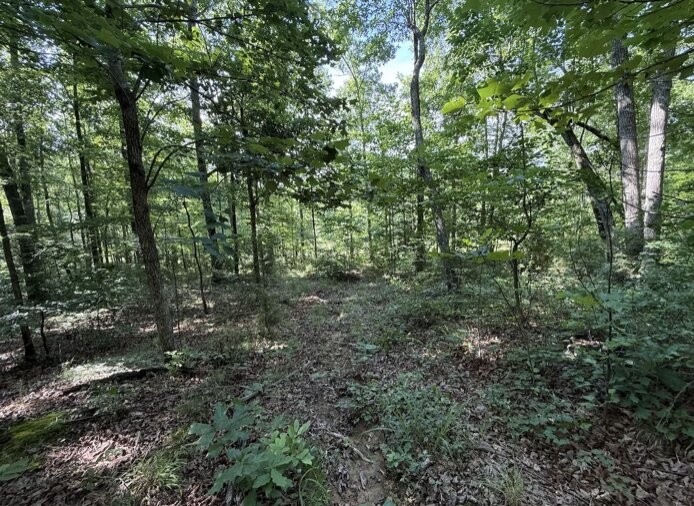 162 Tracy Road Hohenwald, TN 38462 - Photo 26 of 45